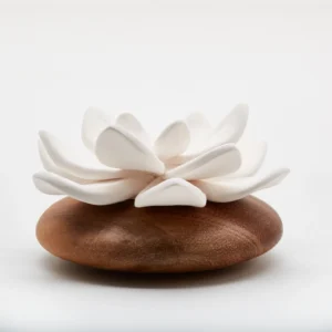 Diffuseur fleur /Lotus