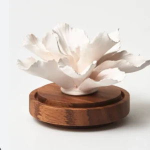 Diffuseur fleur /Hibiscus