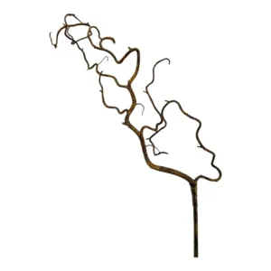 Branche de noisetier