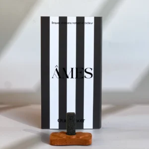 Briques d'encens naturel & brûleur