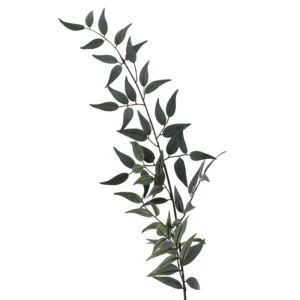 Branche de Feuillage